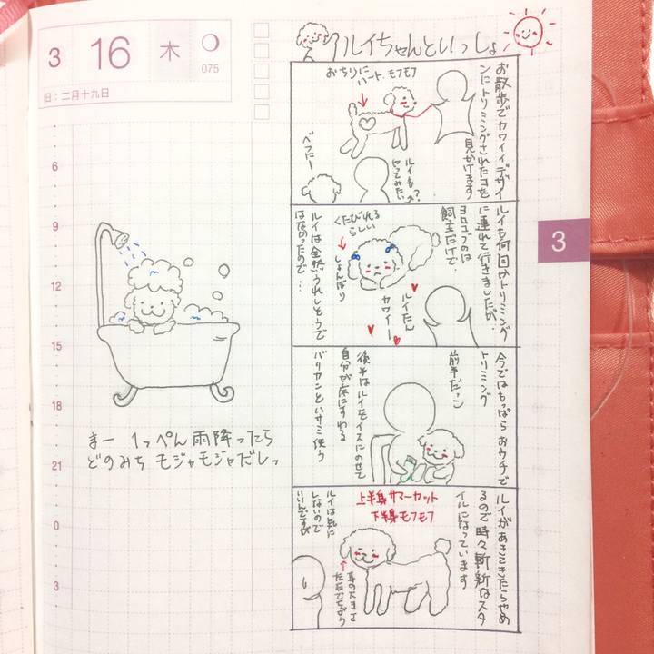 C8d26e7a 127d 4c86 b0f6 17c8ada491c9
