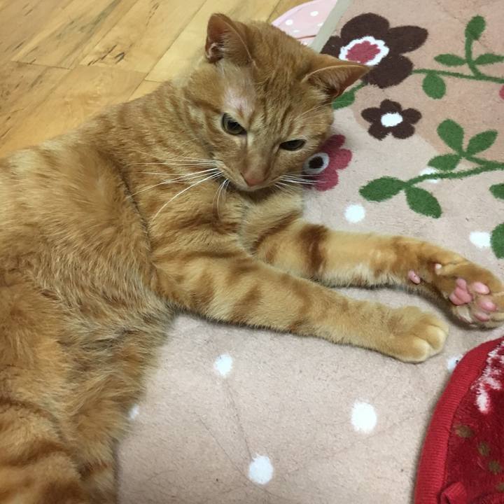 C8d2d048 3d2e 47b2 97a1 dc1e37948075