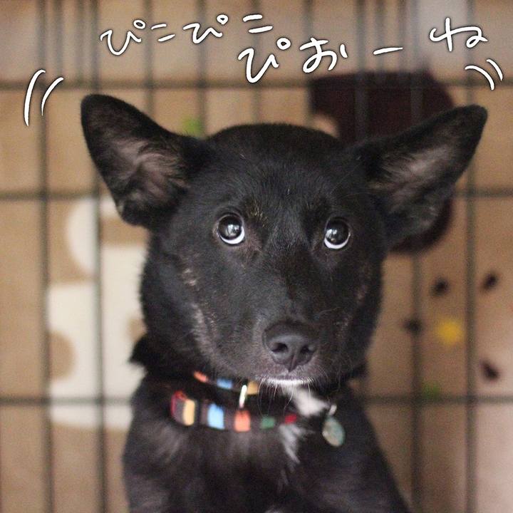 C8d32e80 bfef 4d39 a197 84b716ff36b9