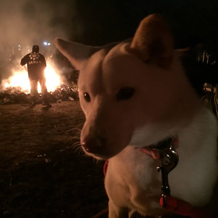 C8d34d7f fbb1 472d a137 ac9362df3a89