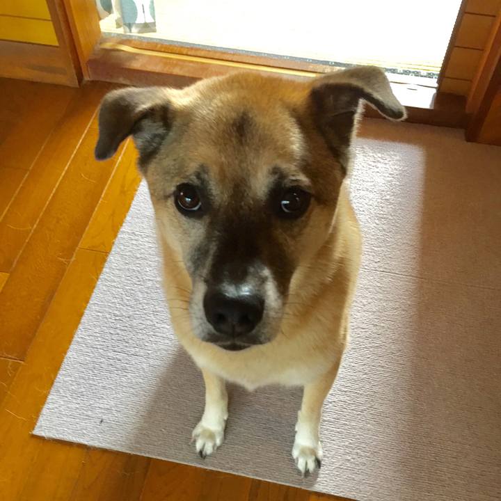 C8d3e7ae 6b4c 4c72 8285 6a218e0673e3