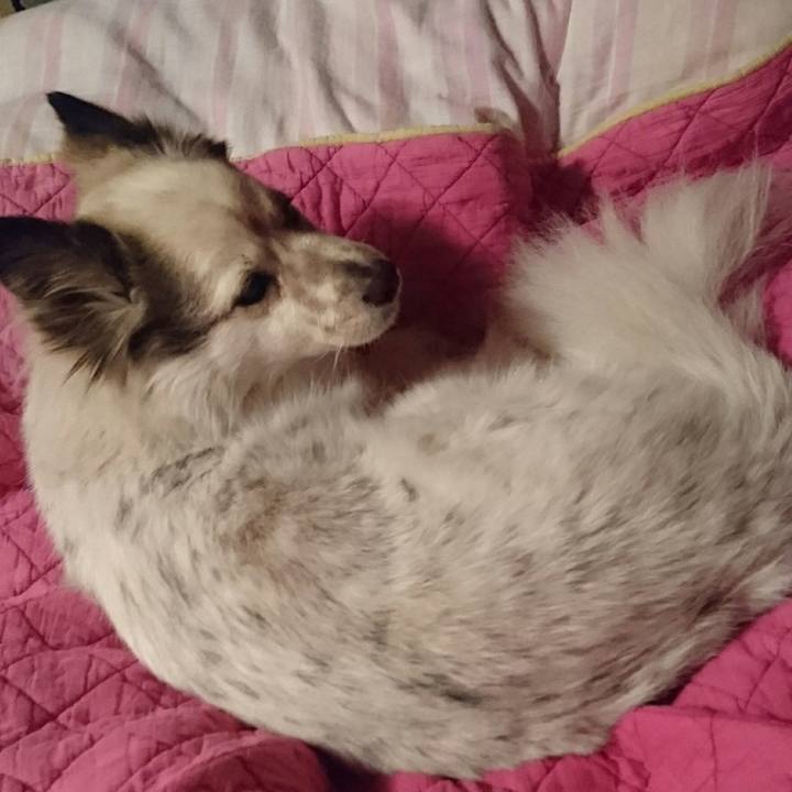 C8d3fef1 53b4 491f b666 b7b9413a61cd