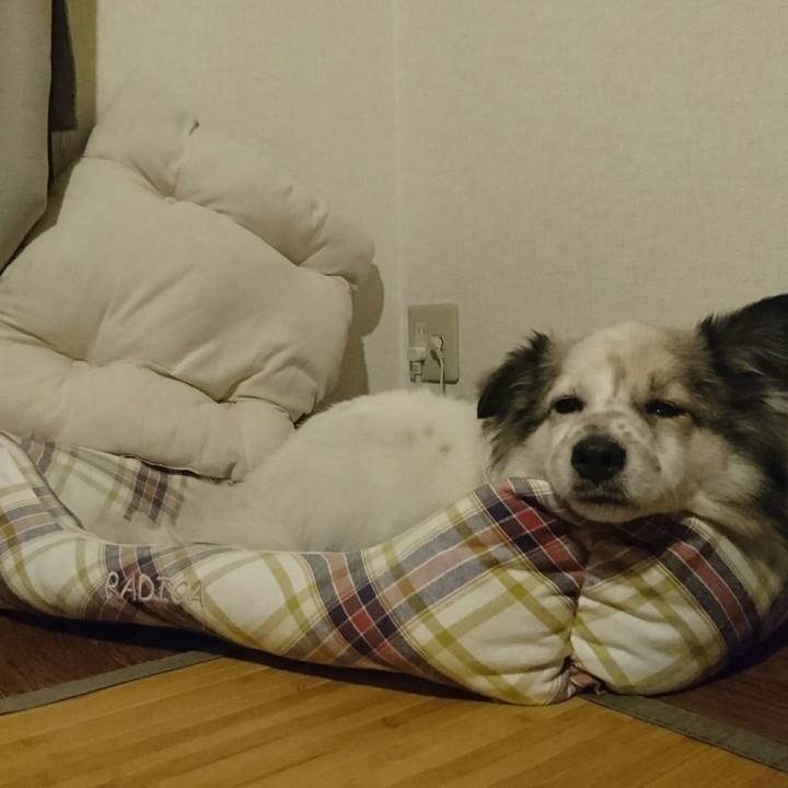 C8d424ac 8507 4e5c 8e18 a8e8b5cd8997