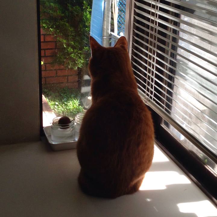 C8d43c29 6fe6 43c5 9777 6d8b834bfec2