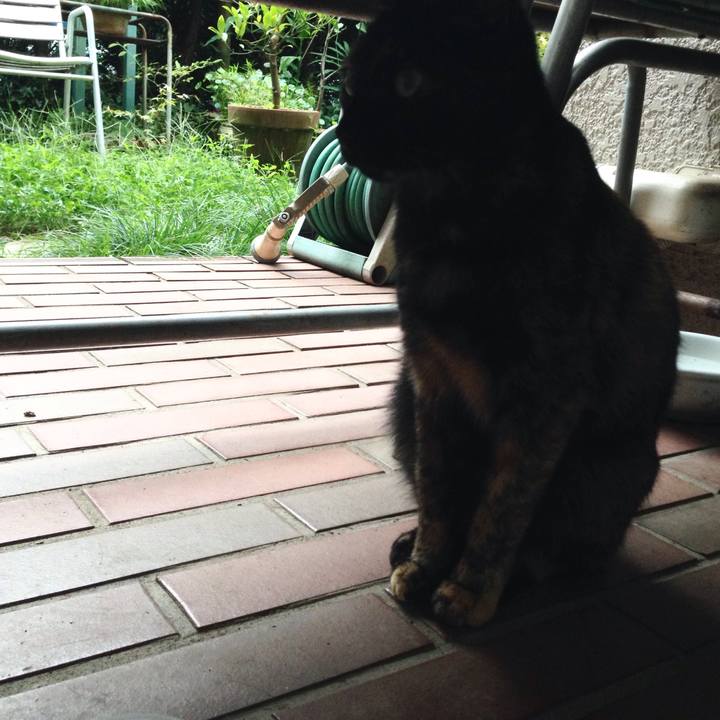 C8d484a5 5746 4f15 897b 0ce1ce1facb0