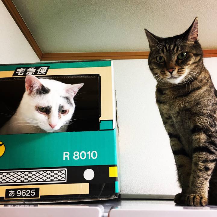 C8d55454 7d99 4776 99f2 19b6f15c3851