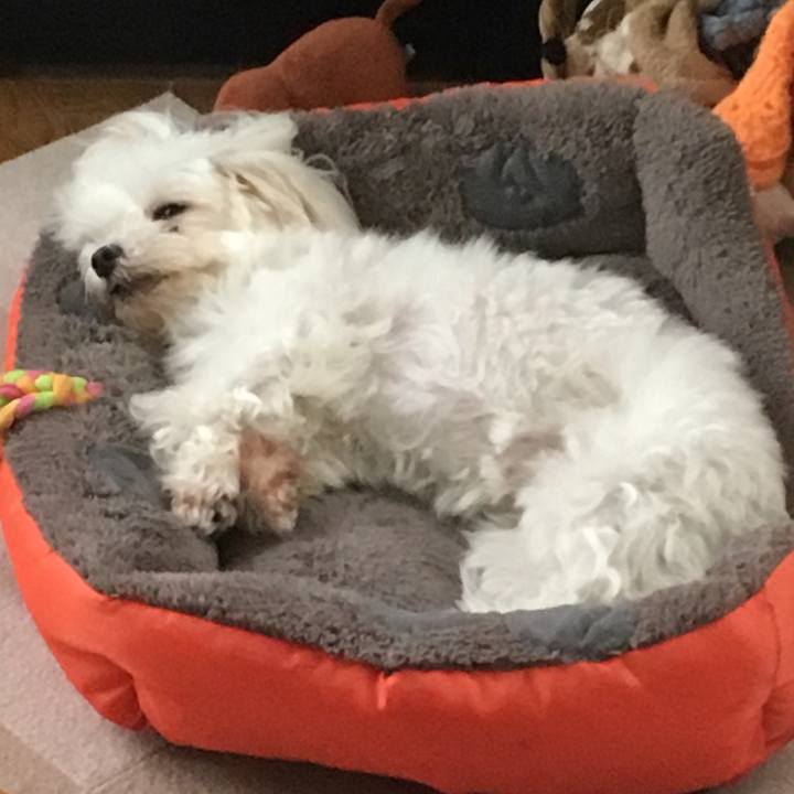 C8d55b04 64bf 4e98 ac47 c52fd6de8b7d