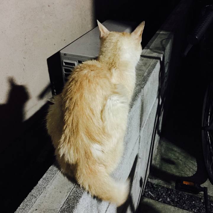 C8d55d65 18da 4014 aa37 8d17251bbbdb