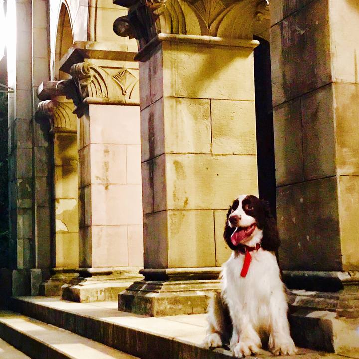 C8d56f15 bf0e 4618 a8df e98f1997887b