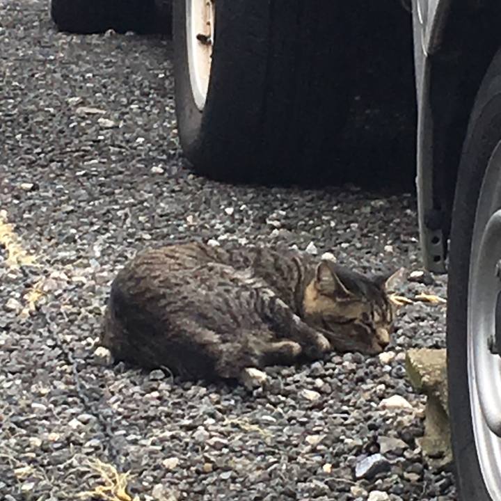 C8d66dee 0be3 4bca a468 66dcdcbd89a1