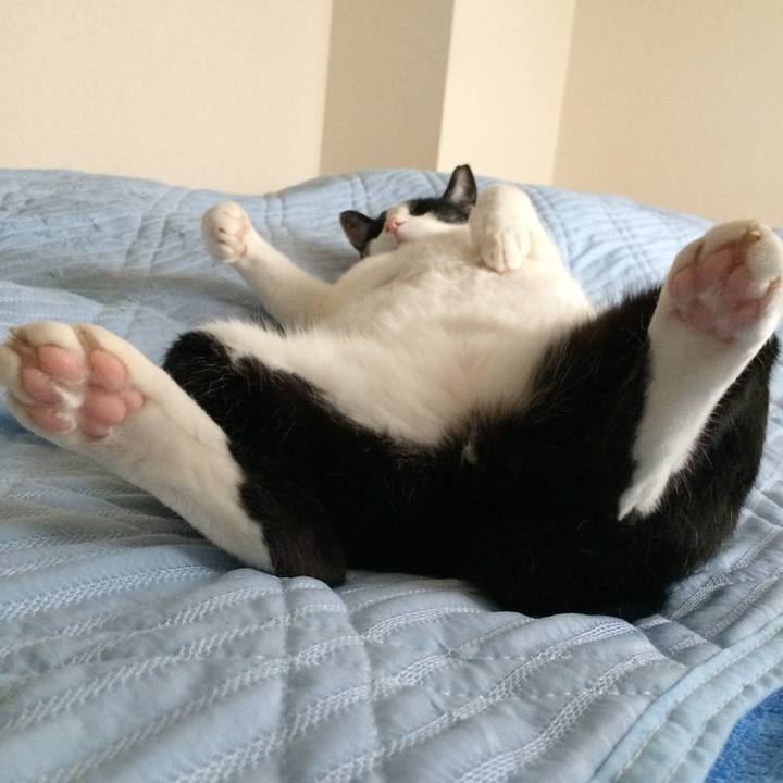 C8d6ad58 7fd2 4b32 b827 dba1374a7d11