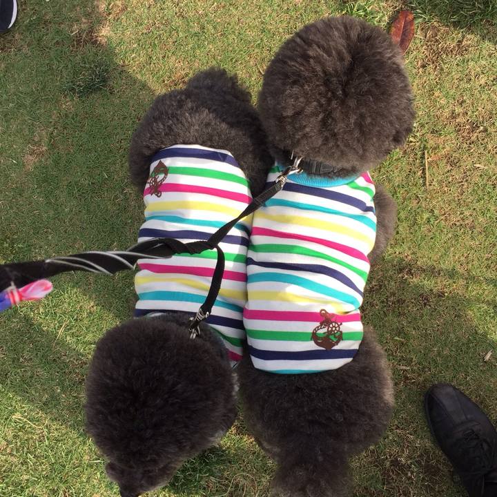 C8d715d2 52fe 4450 8a9c 1f13b5b26f17