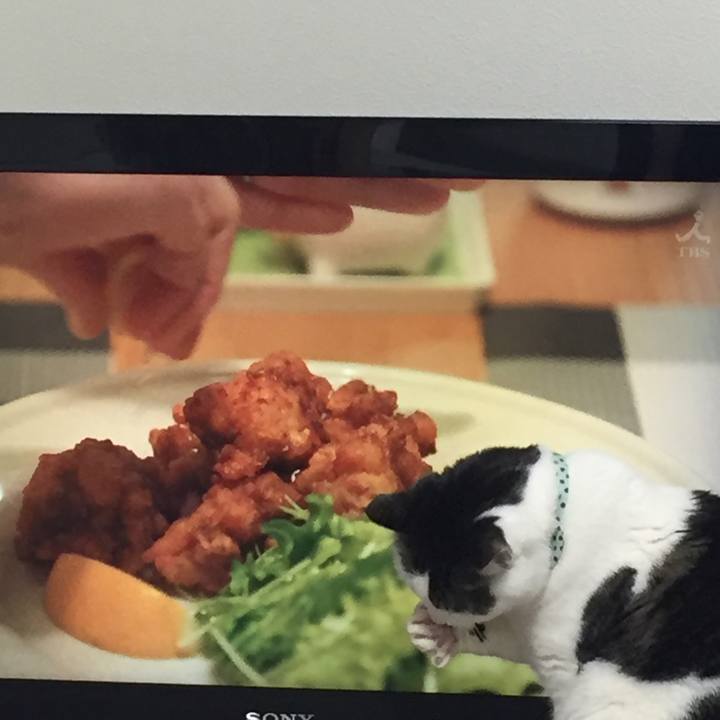 C8d80652 1209 4115 ad7f 5806275cdaf8