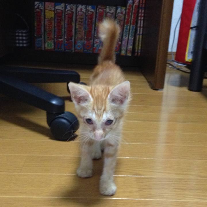 C8d84556 85f7 4ab8 b62d eaf642bb695a