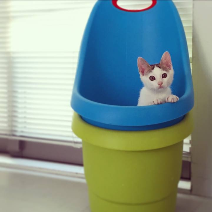 C8d86895 c6fb 4909 99ea d24f1b15b5af