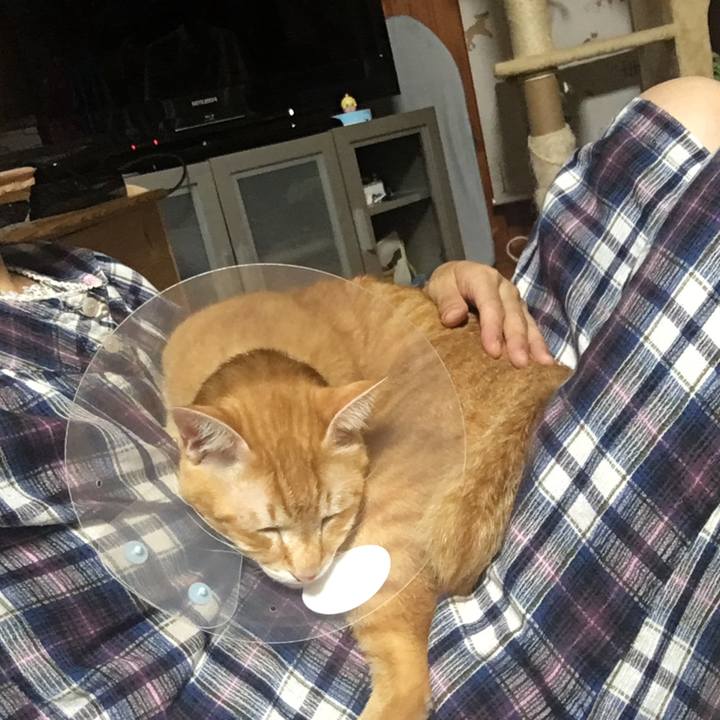 C8d8c652 a6c8 4c96 96ff 5bf9bb7c5ff7