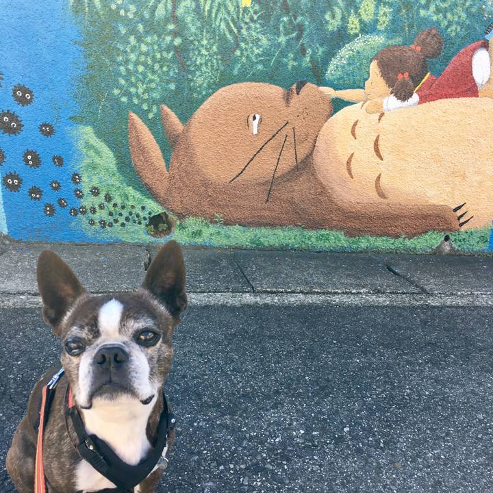 C8d8d3c5 74b1 4b1b 9eb5 47dd3ecd6890