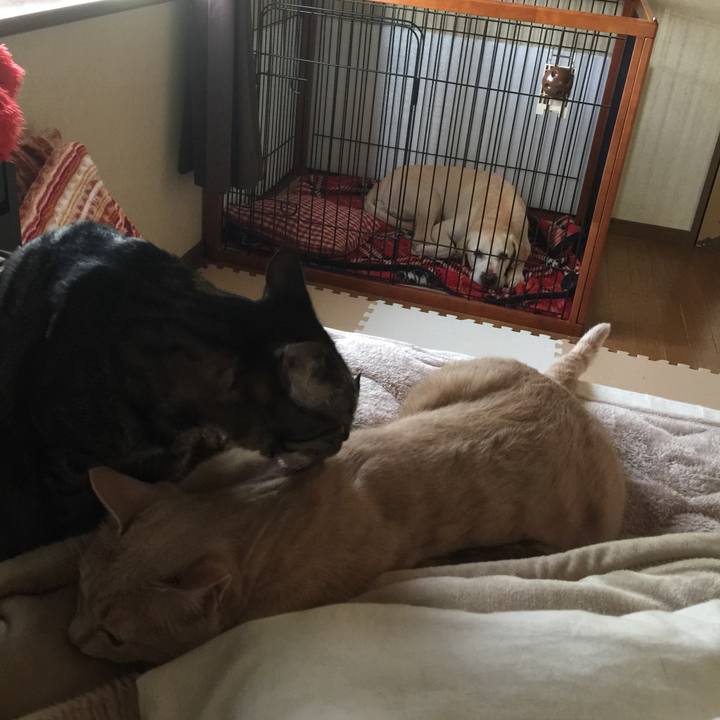 C8d92470 691b 4f6b 84bd d85cf2c4fcf3