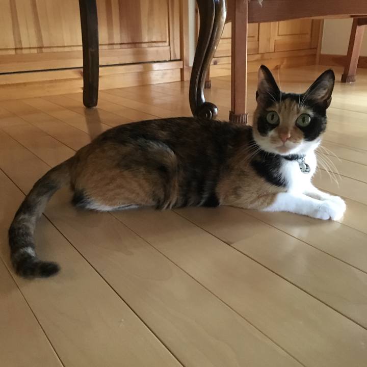 C8d9542f 30b7 4887 a819 b5d6519ee06a