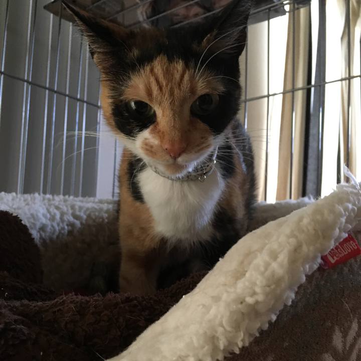 C8d97ef6 5a9b 4de0 8b8c 3d25d317b8d5