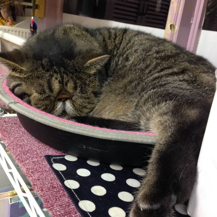 C8da5b1b b1e2 46fc a44b e6200fb557f3