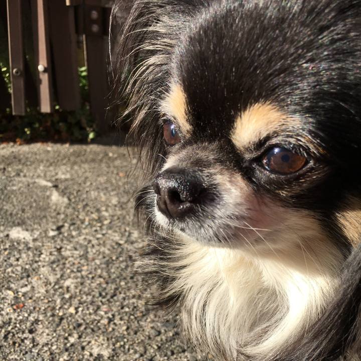 C8db2fc8 86c0 4b7a b542 82d5da2b7fe2