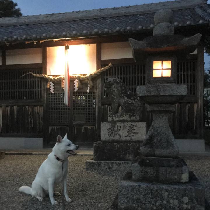 C8dbef6b ecff 479b bf10 2c9b308f8b6e