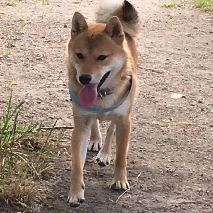 C8dc460c 10e7 40c4 9669 ced59b1c4535