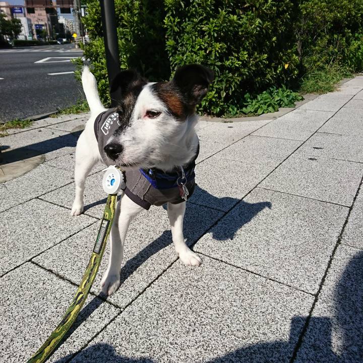 C8dd2400 8bed 47e8 9aba f57f634514f2