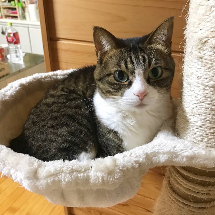 C8dd492d 810e 455c 929f e7161cbee4d1