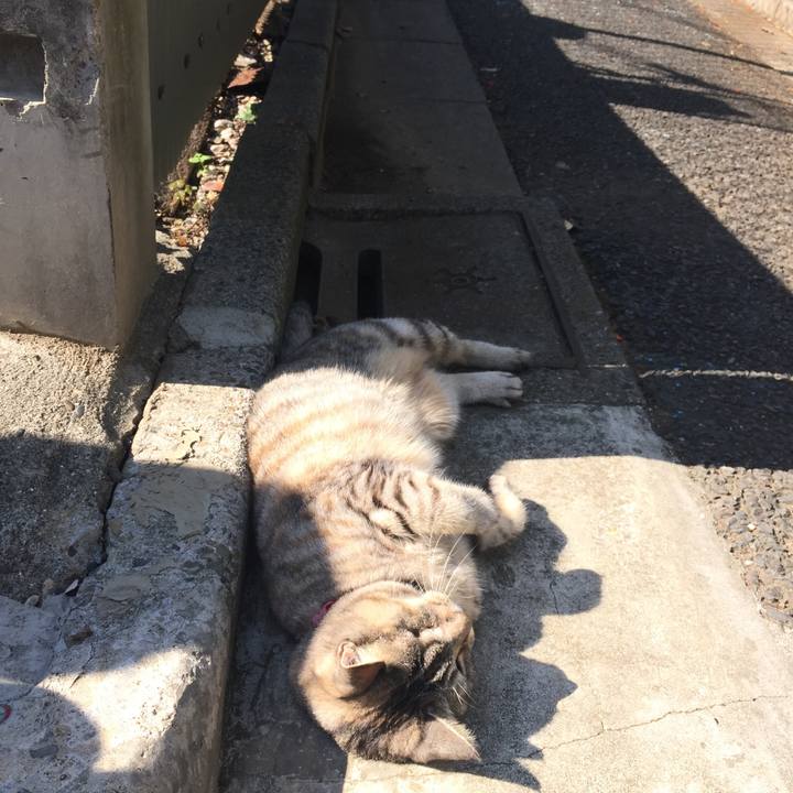 C8dd553e faa8 45e6 b568 2ec81837b466