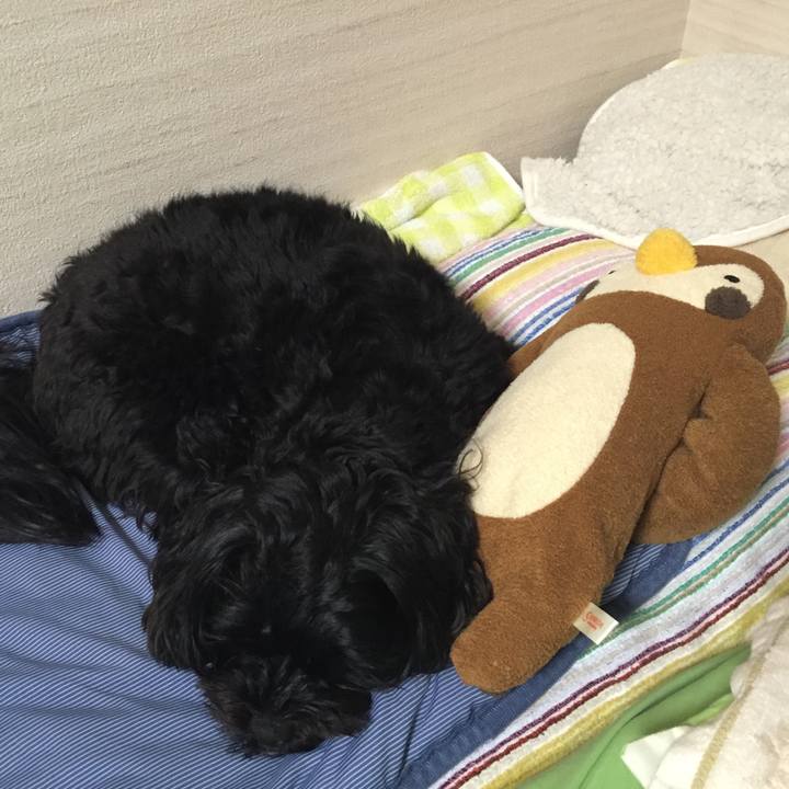 C8ddb160 e49b 4d48 a04d 6e2b12eacdc2