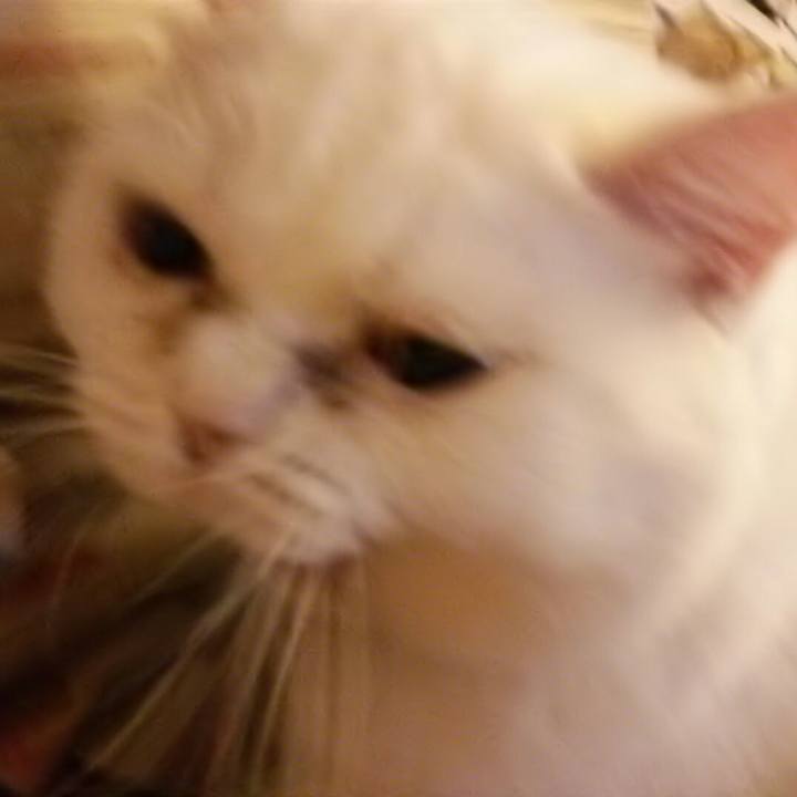 C8dddb68 fdda 49db b32a 17a9c57859f1