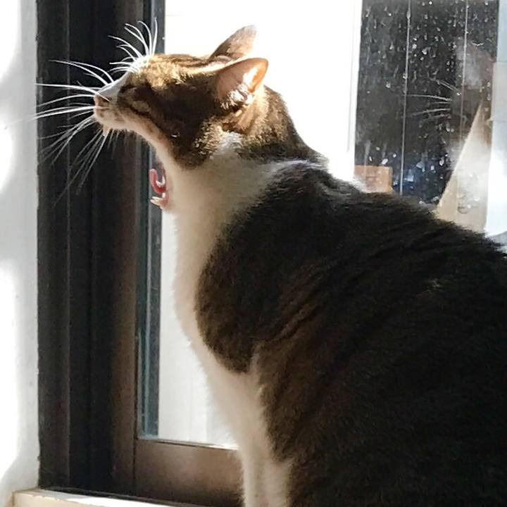 C8dde3f4 306e 49f9 ac4b 9908cc0197bd