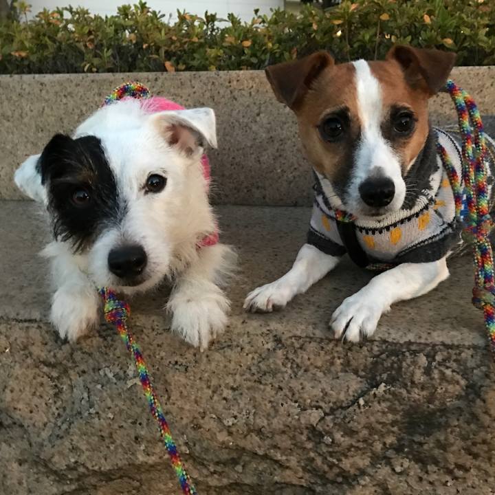 C8dea5ca 6666 499c 878a b4e7d918fbc1