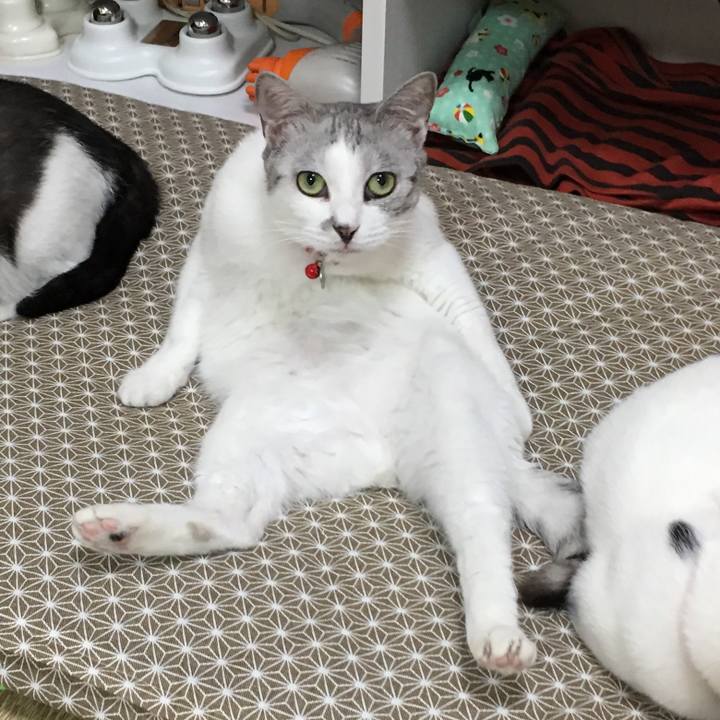 C8dedc87 6bd1 4007 bef6 a1168f6df473