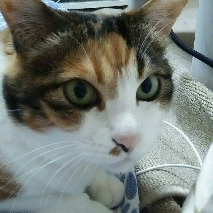 C8df9be8 3ae1 42aa 9a3e 84176f1dc6ee