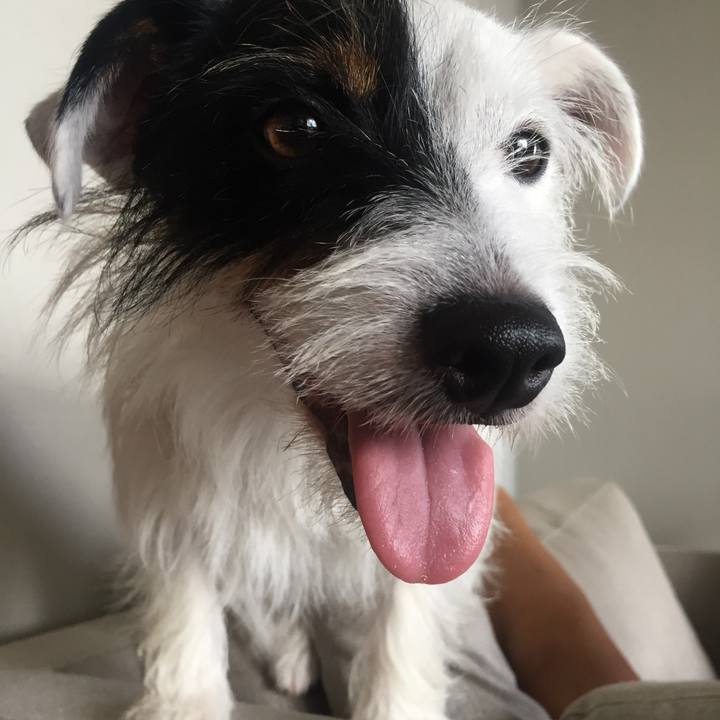 C8dfe335 3e01 4a1f b73c 25b8c7b15159