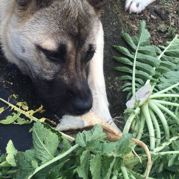 C8e06c78 857b 45e6 9baf d21e38487c50