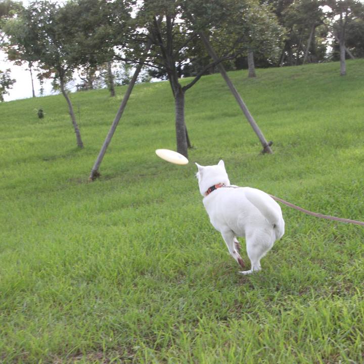 C8e1f91f 0afa 4f77 baab 1cd556f1d6aa