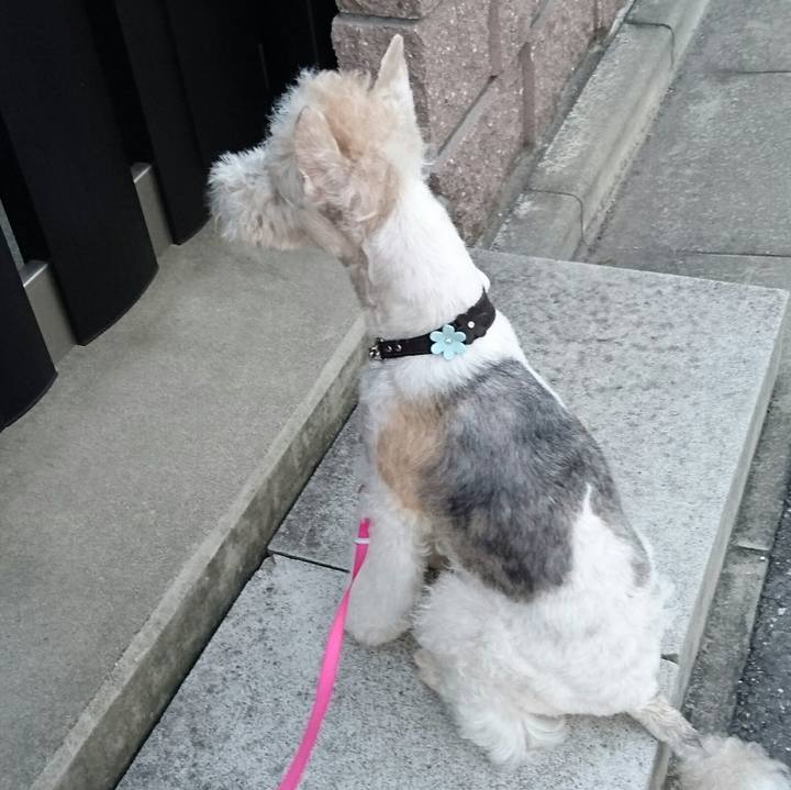 C8e2277f 2107 498a 8538 81dc6009cd1e