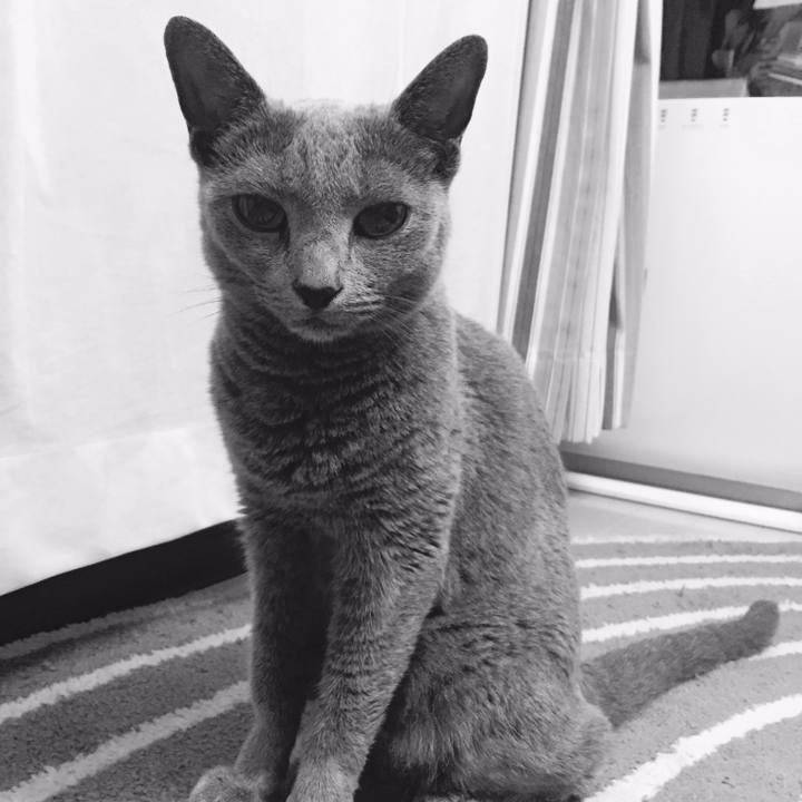 C8e2a413 8599 4845 8f0c 15a2d458af52