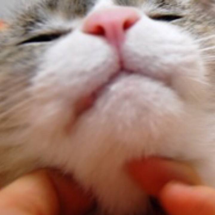 C8e2d7e0 ed7f 4f3c 8064 7e8c9f6cd8c7