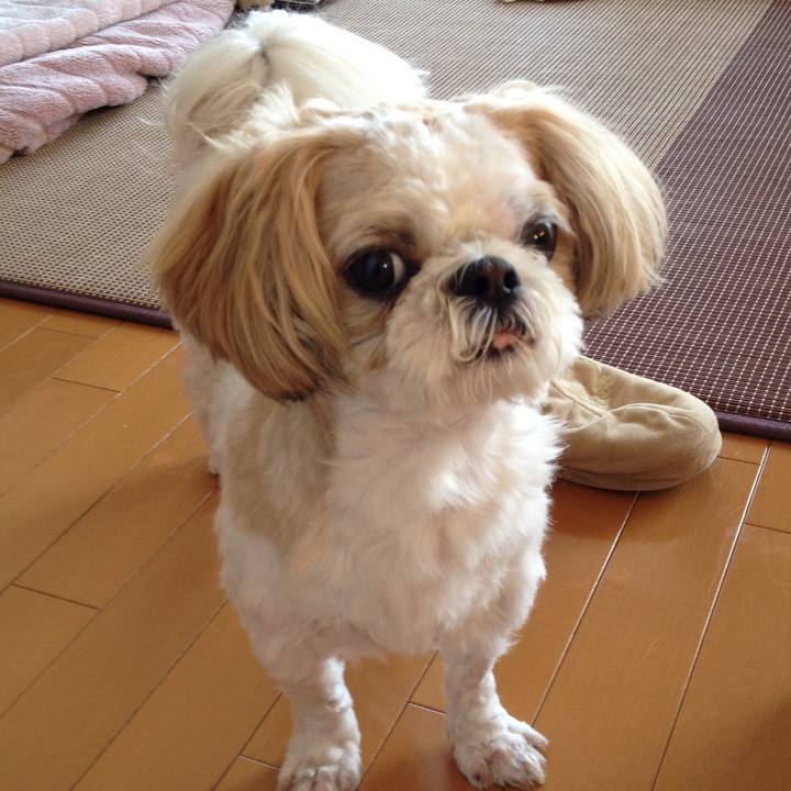 C8e2fdcf 234c 4939 b8f7 61bceef5162f