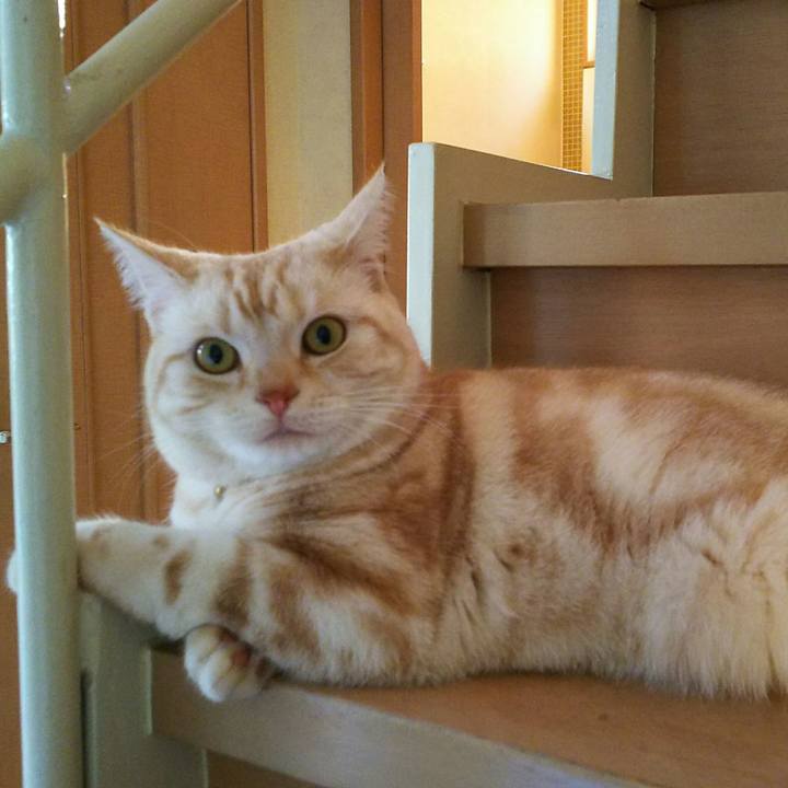 C8e346ec 14dc 411d 853f 7765f7bcbefe