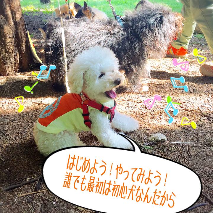 C8e38145 fe62 4096 9d64 c23a182abdff