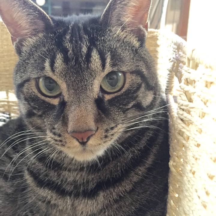 C8e3b249 744d 4279 b9c0 ff8c8a3e34aa