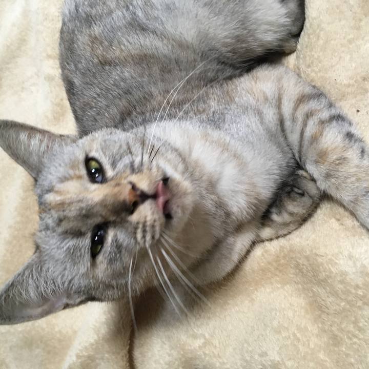 C8e3dded 489a 4cf8 a779 944870ba8623