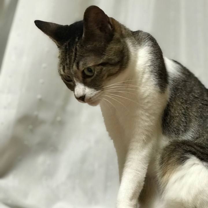 C8e46c63 da13 4021 b13a b82a72a03780