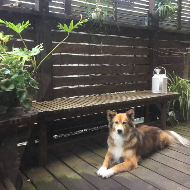 C8e5184e 7a9d 4555 bcda 9e5facc814c6